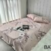 SET DE CUBRE COLCHA 4PCS (FARDOX24UND)