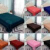 Fraza color entero Cosmos 2plzs<br>(Fardo 24 und)