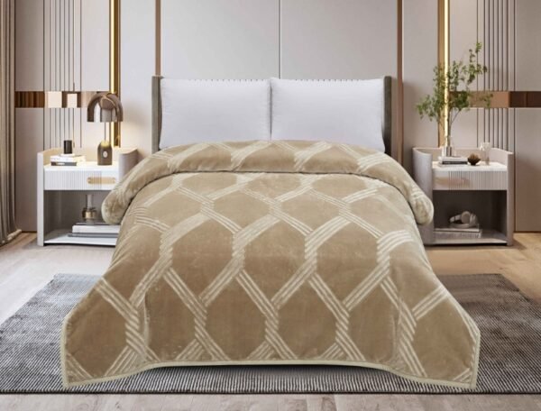 FRAZADA DE TERCIOPELO C.E DOBLE CARA MODELO COREANO 6 KG. (FARDOX16UND)