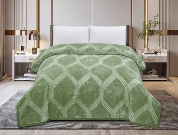 FRAZADA DE TERCIOPELO C.E DOBLE CARA MODELO COREANO 6 KG. (FARDOX16UND)